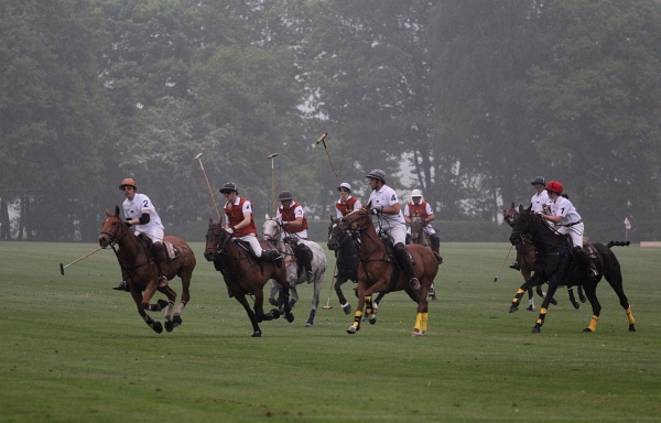 Polo_Art   125.jpg